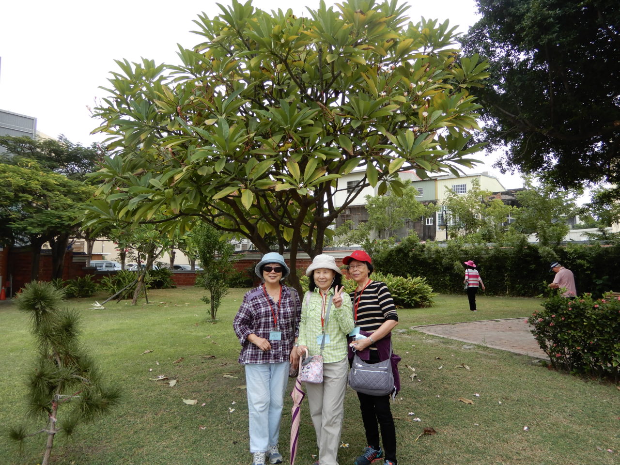 江心會彰嘉雲二日遊(109.10.21~10.22)